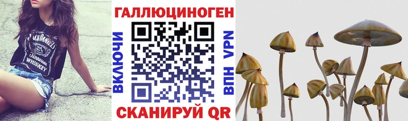 Псилоцибиновые грибы мухоморы продажа наркотиков Котельнич